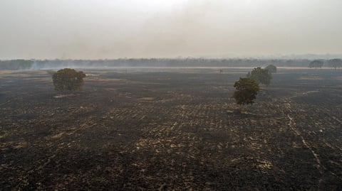 Incendios consumen la Amazonía brasileña