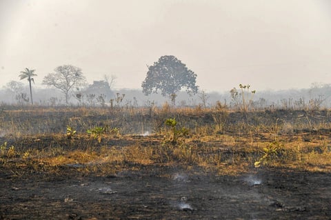 Incendios consumen la Amazonía brasileña