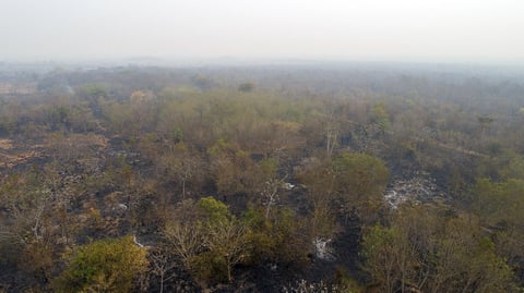 Incendios consumen la Amazonía brasileña