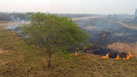 Incendios consumen la Amazonía brasileña
