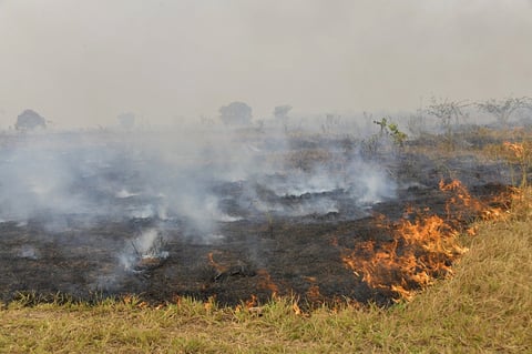 Incendios consumen la Amazonía brasileña