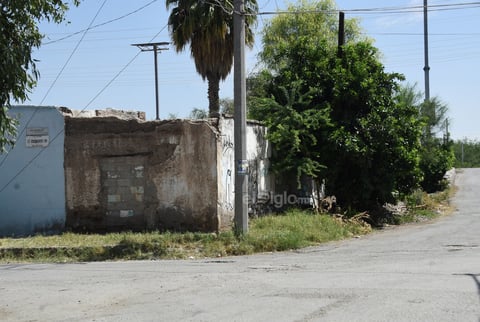 Baldíos. Las banquetas se pierden por la maleza y basura que se encuentran en diversos puntos de este sector habitacional de Torreón, lo que se vuelve un foco de infección por los bichos que también hay en el lugar, además de los fétidos olores por la acumulación de desperdicios.