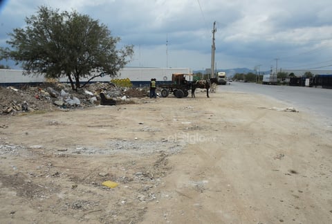 Terrenos particulares, fincas abandonadas y hasta banquetas siguen acumulando los desechos diariamente, desde carromatos de animales, vehículos particulares y hasta camiones materialistas son los principales protagonistas del desorden que prolifera en los sectores habitacionales, algunos incluso se encuentran a pocos metros de los centros autorizados de desecho, las actividades irregulares se realizan incluso a plena luz del día y sin que las autoridades emitan sanciones correspondientes.