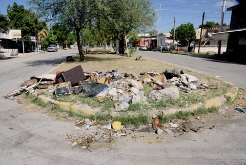 ¿Y el paso? La falta de mantenimiento en diversos camellones y plazuelas de la ciudad se refleja en las grandes cantidades de basura que se acumula por varios días y hasta semanas. El libre tránsito se ve afectado.