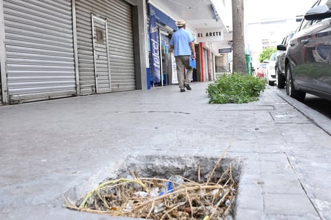 ¿Jardineras? Diversas áreas que eran destinadas  como jardineras han quedado olvidadas, llenas de basura, convirtiéndose en trampas.