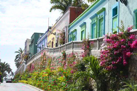 Luego de fundar Culiacán, el 14 de mayo de 1531 el español Nuño Beltrán de Guzmán llegó a esta bahía, que hoy en día es conocida como el Puerto de Mazatlán.