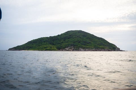 Lobos, Venados y Pájaros son Las Tres Islas distintivas de Mazatlán, convertidas en Área Natural Protegida por el Gobierno Federal el 2 de Agosto de 1978 y Patrimonio Mundial de la Humanidad por la UNESCO el 15 de julio de 2005.