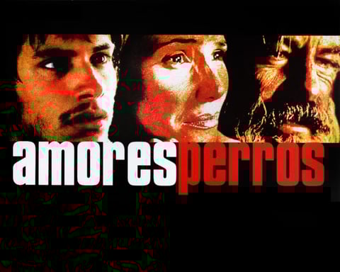 Amores Perros 