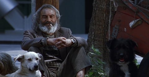 Amores Perros 
