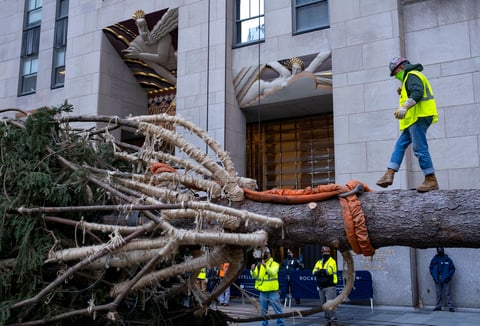 El abeto canadiense, de casi 23 metros de alto, viajó hasta la Gran Manzana desde la localidad de Oneonta, en la zona central del estado de Nueva York, donde este año el jardinero jefe del Rockefeller, Erik Fauze, encontró el árbol adecuado, con 'la forma navideña perfecta', explicó a los medios locales.