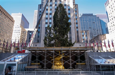 'Este año, sentimos que el árbol es vital', dijo en un comunicado Rob Speyer, el consejero delegado de Tishman Speyer, la compañía propietaria del Rockefeller Center.