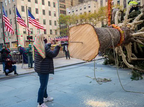 'El árbol del Rockefeller Center representa la época navideña, pero también ha sidoun símbolo de esperanza, resiliencia, y el imperecedero espíritu de Nueva York, desde la Gran Depresión, el 11 S, la supertormenta Sandy y hasta hoy', agregó Speyer, que subrayó que 2020 ha sido un 'año difícil'.