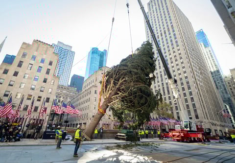 Este año, sin embargo, el público no ha tenido acceso a la llegada del árbol, pero los detalles sobre cómo podrá visitarse serán anunciados en los próximos días.