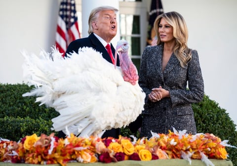 Trump cumple con la tradición de indultar al pavo de 'Acción de Gracias'