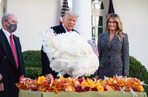 Trump cumple con la tradición de indultar al pavo de 'Acción de Gracias'
