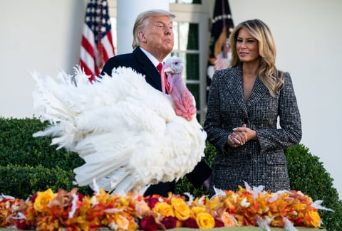 Trump cumple con la tradición de indultar al pavo de 'Acción de Gracias'