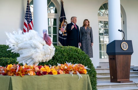 Trump cumple con la tradición de indultar al pavo de 'Acción de Gracias'
