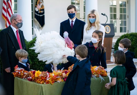 Trump cumple con la tradición de indultar al pavo de 'Acción de Gracias'