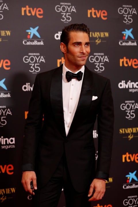 La elegancia triunfa en la alfombra roja de los Premios Goya