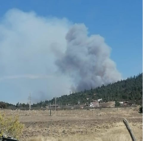 Combaten incendio forestal en Sierra de Arteaga
