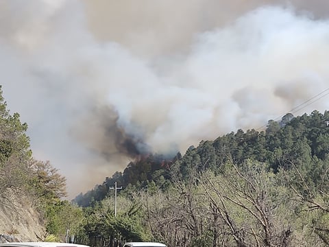 Combaten incendio forestal en Sierra de Arteaga