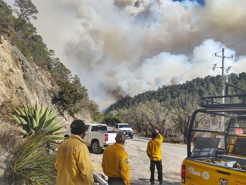 Combaten incendio forestal en Sierra de Arteaga