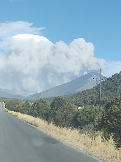 Combaten incendio forestal en Sierra de Arteaga