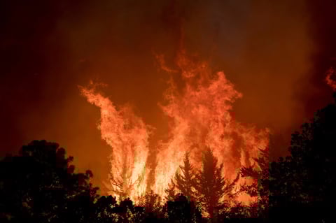 El fuego se originó en la sierra de Arteaga, dentro del estado de Coahuila, pero a solo un kilómetro de Nuevo León, por lo que ya afecta a ambos estados y está 'avanzando de manera muy rápida, muy agresiva'.