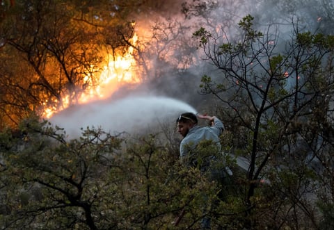 El director de Protección Civil dijo que ya hay más de 1,000 hectáreas calcinadas en Nuevo León, aunque no supo precisar la superficie afectada en Coahuila.