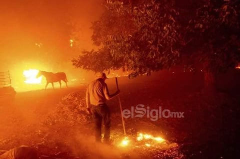 Combaten incendio forestal en Sierra de Arteaga