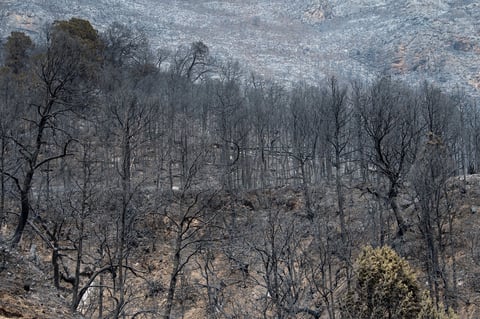 Van siete mil hectáreas afectadas por incendio en Coahuila y Nuevo León