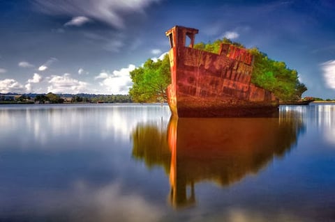 10. El barco SS Ayrfield
A media hora de Sidney, podrás encontrar un barco abandonado que se convirtió en bosque. Durante la Segunda Guerra Mundial, en la Bahía de Homebush, en Australia, fue abandonado tras el cierre del astillero de desguace (cementerio de buques). Al pasar los años, le crecieron árboles de mangle por todos lados.