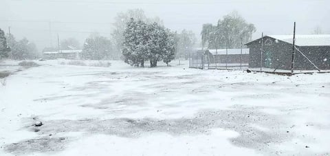 En plena primavera, Chihuahua y Sonora se cubren de blanco por nevada