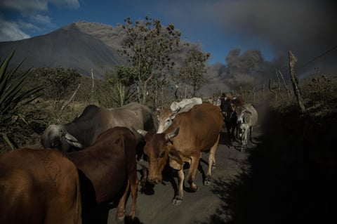 Mantiene actividad volcán Pocayá en Guatemala