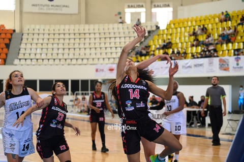 Algodoneras vs Mieleras