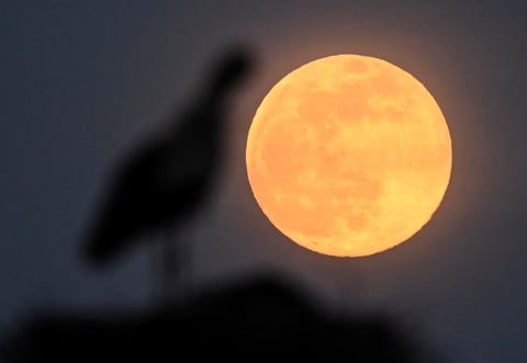 Así se vio la Superluna Rosa en el mundo