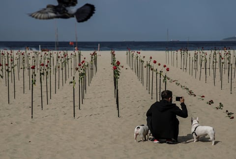 Manifestantes 'plantan' rosas en Copacabana en memoria de fallecidos por COVID en Brasil
