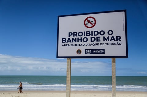Pese a las advertencias, personas deciden ingresar al mar 