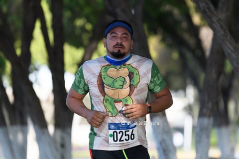 Tortugas del desierto