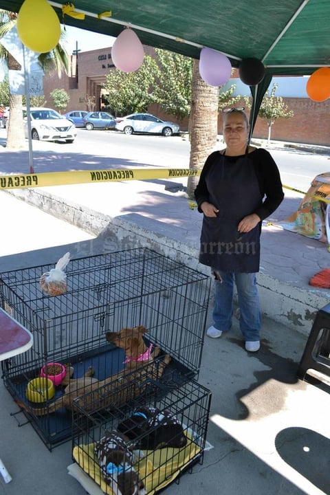 19112021 Mayte se dedica a rescatar a perros en situación de calle, resguardándolos en su albergue 'Amigos por Siempre'.