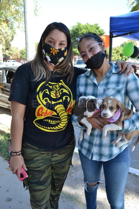 18112021 Laguneros acudieron al Bosque Venustiano Carranza de Torreón para conocer a los candidatos a adopción de CCTorreón.