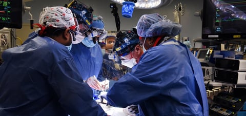 Médicos logran trasplantar corazón de cerdo a hombre en Estados Unidos