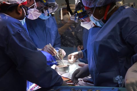 Médicos logran trasplantar corazón de cerdo a hombre en Estados Unidos