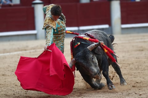 ¡Imágenes sensibles! Arturo Gilio es cornado en España