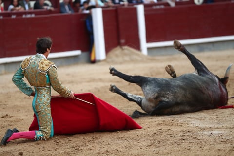 ¡Imágenes sensibles! Arturo Gilio es cornado en España