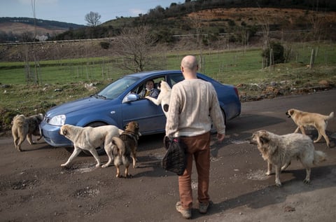 Hombre construye 'arca de Noé' en su casa para animales abandonados