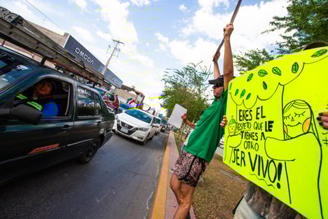 Manifestación contra retiro de árboles por la obra Abastos-Independencia