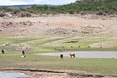 El Palmito tiene sed: la presa más grande de La Laguna enfrenta una nueva sequía