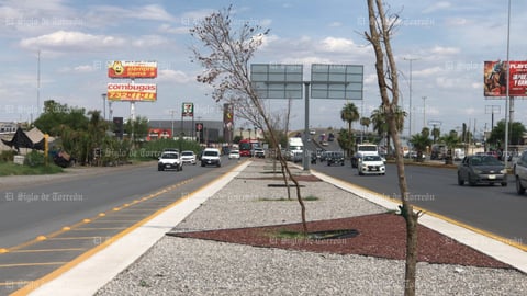 Árboles no sobreviven en obra del Giro Independencia