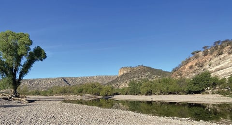 Investigadores de la UJED describen nueva especie de pez en el río Nazas; tenía cinco millones de años oculta